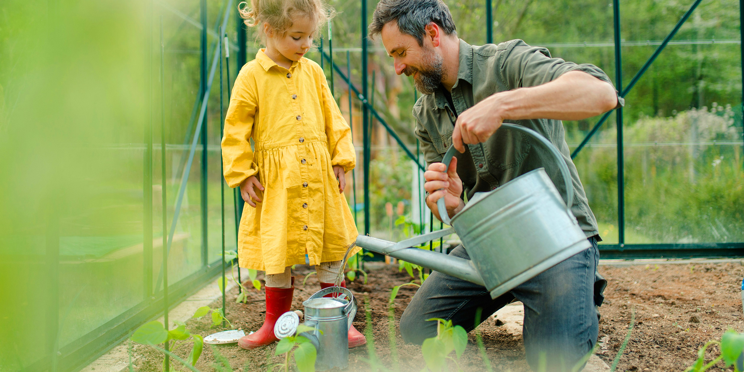 En pappa och dotter som vattnar blommorna i ett växthus