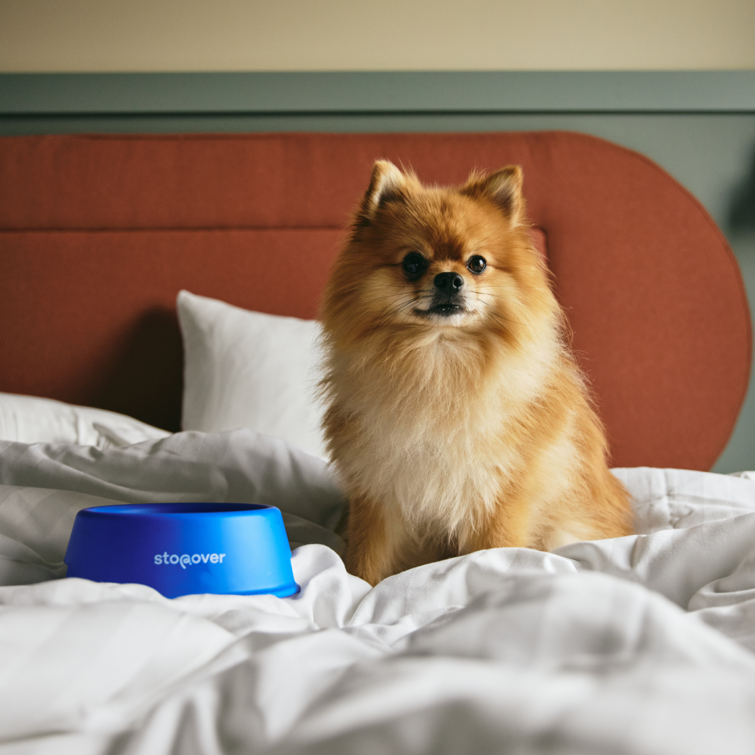 40% rabatt på nya Stopover Hotel