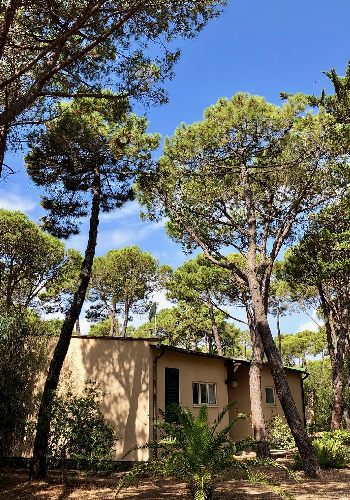 Riva del Sole