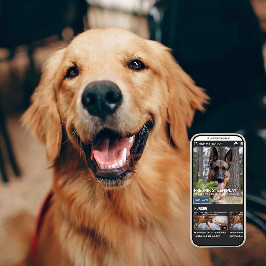 Hund på jobbet –<br>en serie med<br>Fredrik Steen